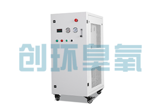 桥东石斑鱼养殖水质调控完整指南:臭氧发生器配置与操作步骤