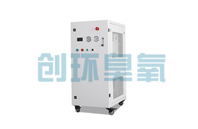 桥东比传统换水更高效?臭氧发生器在石斑鱼养殖中的水质净化原理解析