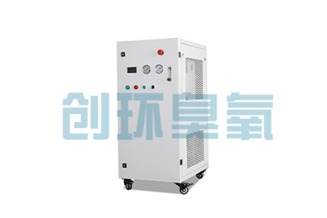 桥东比传统换水更高效?臭氧发生器在石斑鱼养殖中的水质净化原理解析